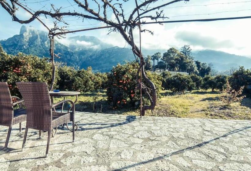 غرفة قياسية مزوَّدة بتراس, Finca Cas Sant