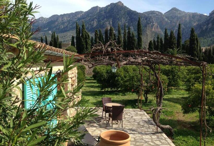 غرفة قياسية مزوَّدة بتراس, Finca Cas Sant