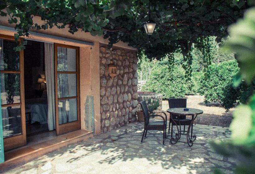Номер Стандарт с Террасой, Finca Cas Sant