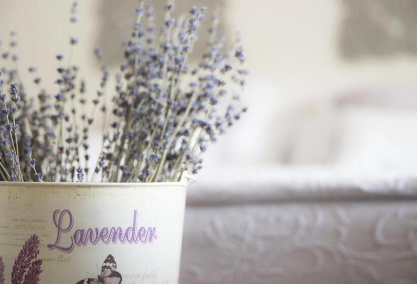 Номер Deluxe, La Gastrocasa Adults Only