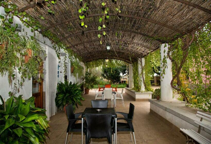 标准间, Mas Masdeu