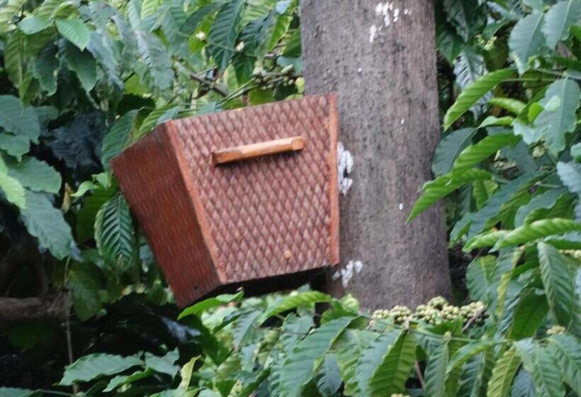 침실 1개 주택, Avadale Wayanad Stag Groups Not Allowed