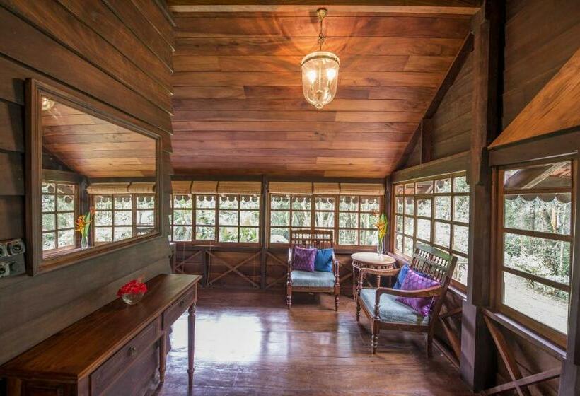 스위트, Pepper Trail