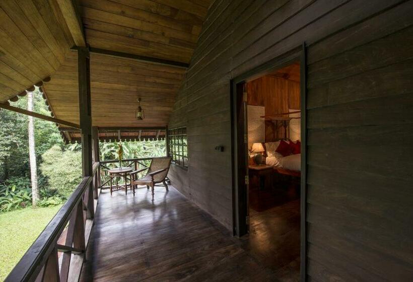 스위트, Pepper Trail