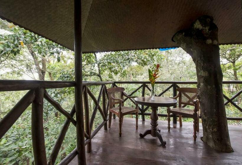 침실 1개 주택, Pepper Trail