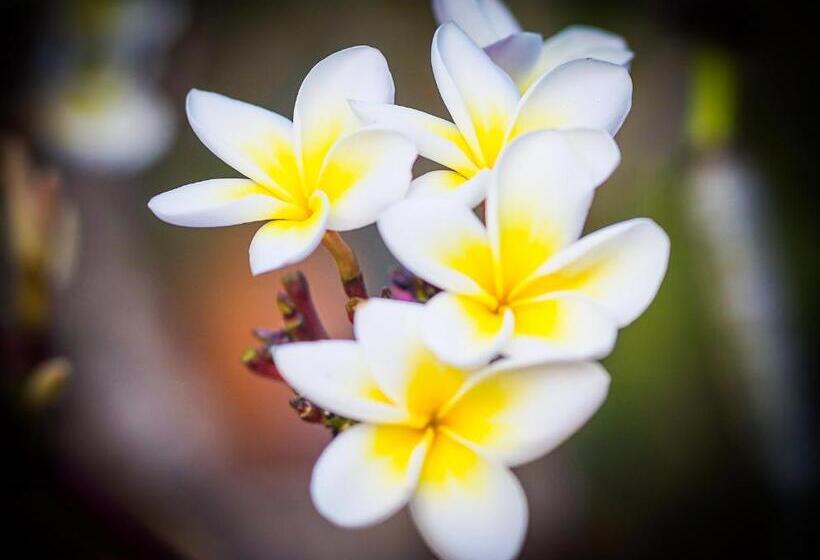 빌라 1 베드룸 - 수영장, Pepper Trail