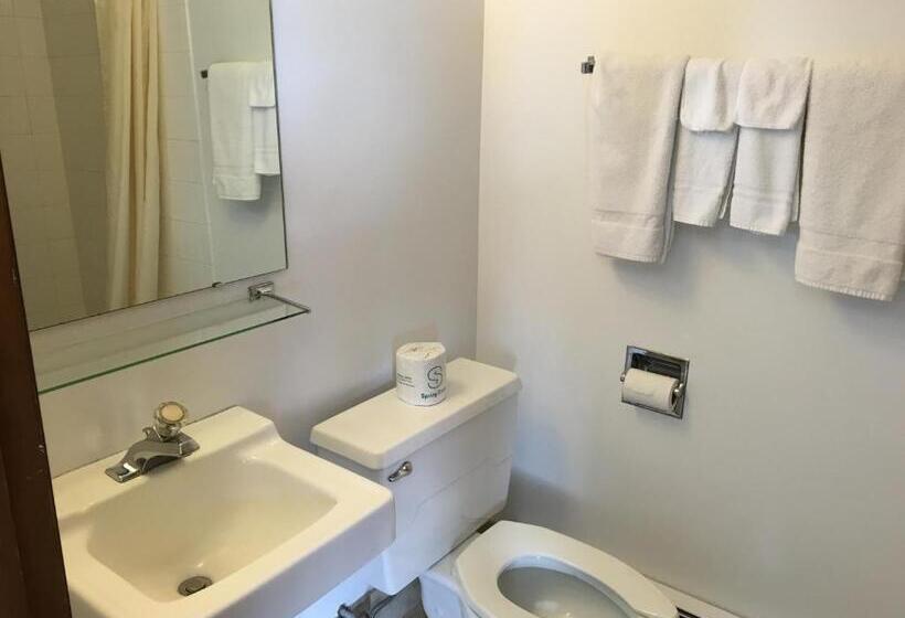 Номер Стандарт 2 Двуспальные Кровати, Coho Motel