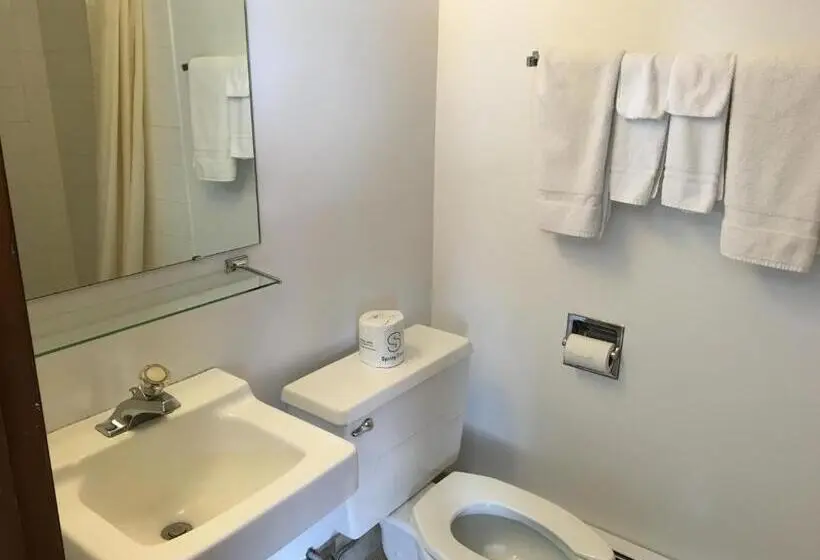Standard-huone 2 Parivuodetta, Coho Motel