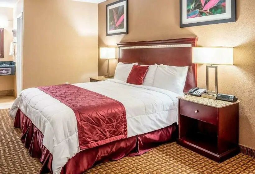 キングサイズベッドのスタンダードルーム, Rodeway Inn