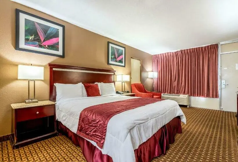 キングサイズベッドのスタンダードルーム, Rodeway Inn