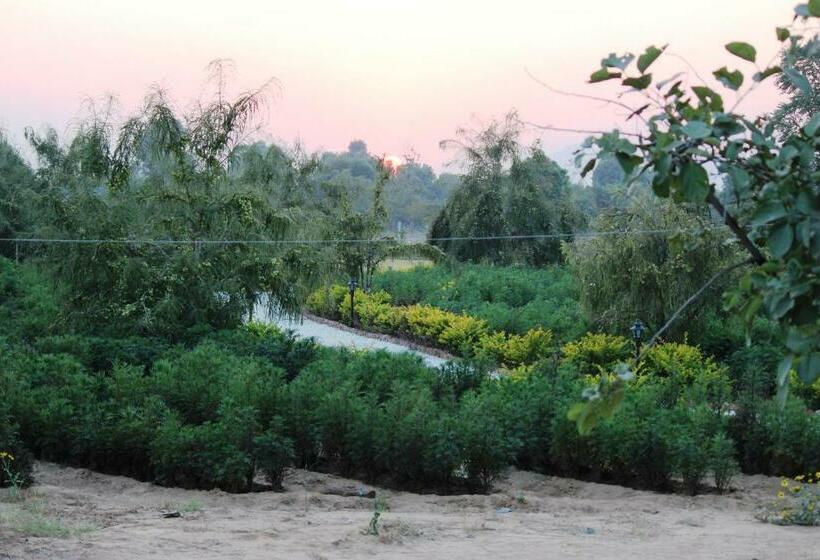 Willa Deluxe 1 Sypialnia, Lohana Village Resort