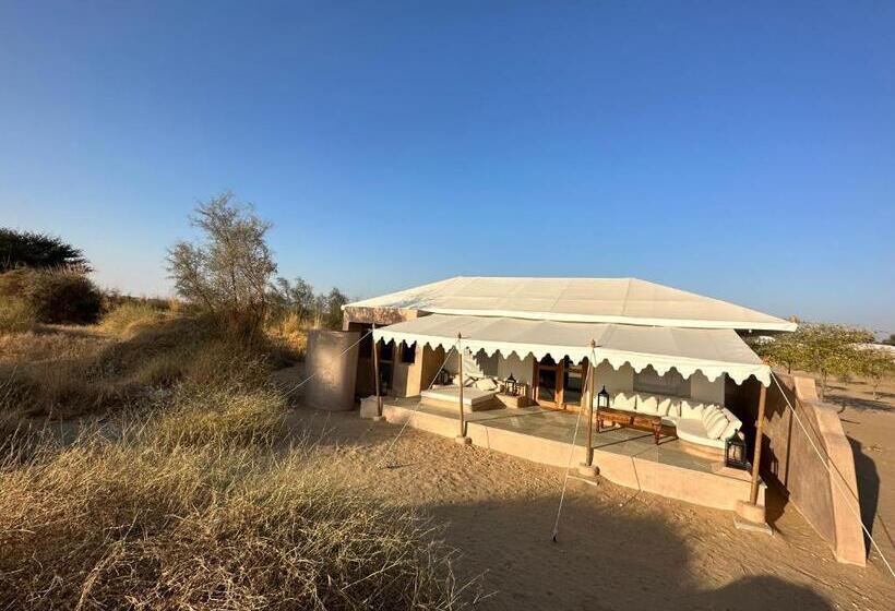 Люкс Повышенной Комфортности, Manvar Resort & Tented Camp