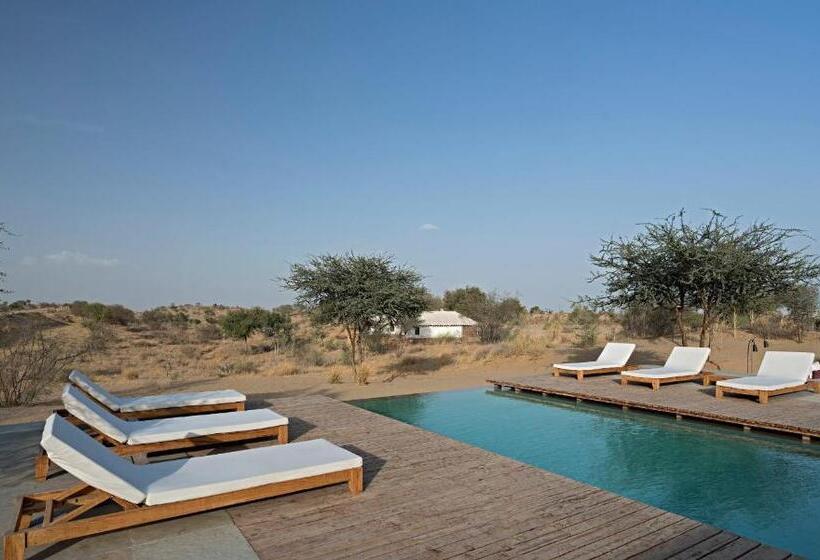 Люкс Повышенной Комфортности, Manvar Resort & Tented Camp