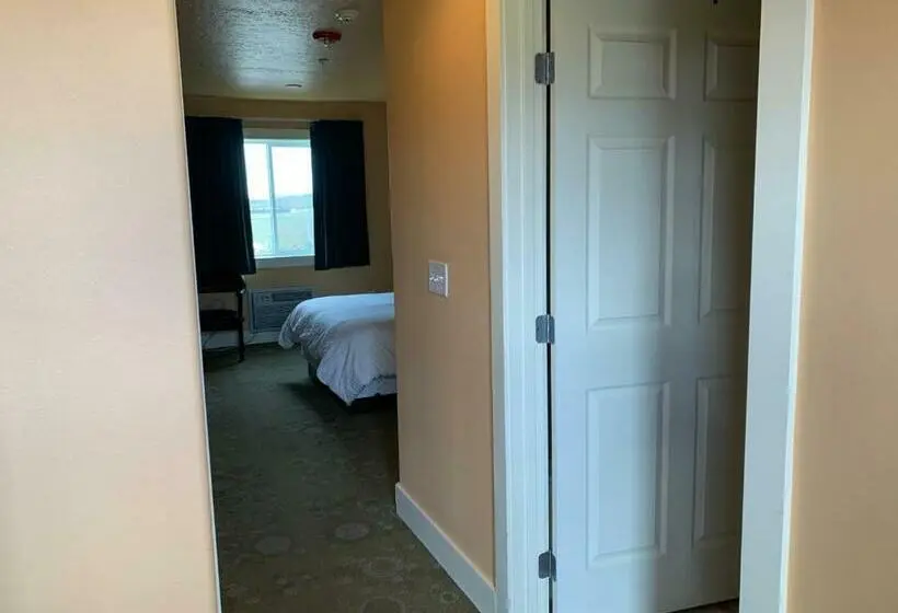 Standard-studio, Teton Valley Motel