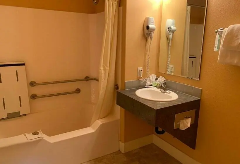 Standard-studio, Teton Valley Motel
