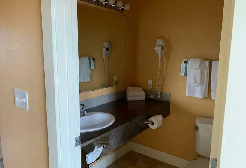 Standard-huone, Teton Valley Motel