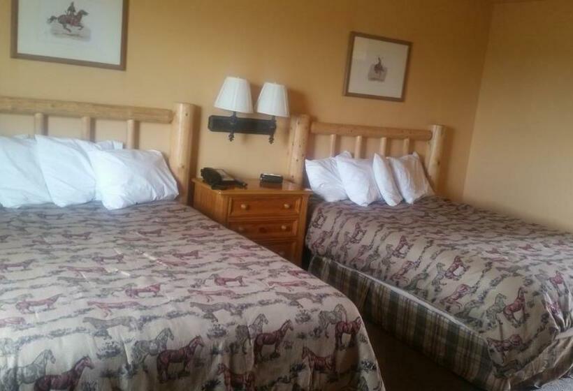 اتاق استاندارد, Teton Valley Motel