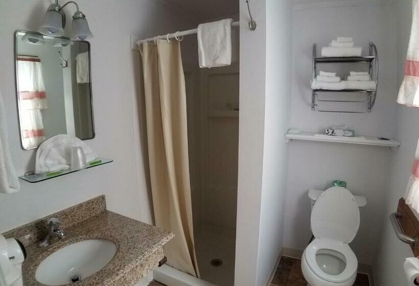 غرفه قياسيه سريرين مزدوجين, Bay Top Motel