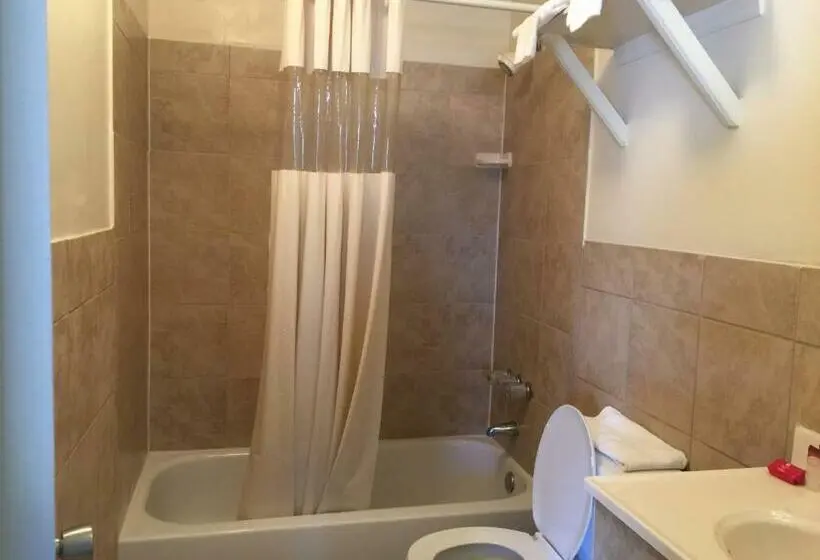Standard-huone King-vuode, Coastal Motel