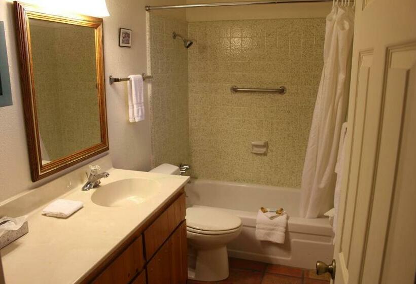 标准工作室带泳池景, My Place Suites