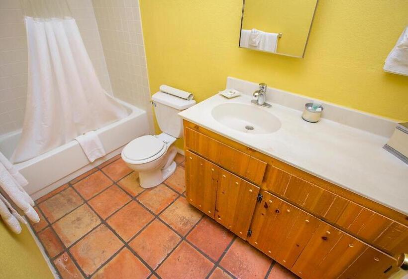 带大床的标准工作室, My Place Suites