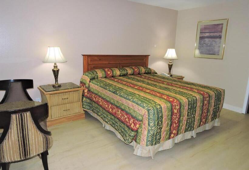 اتاق استاندارد با تخت بزرگ, American Inn Motel
