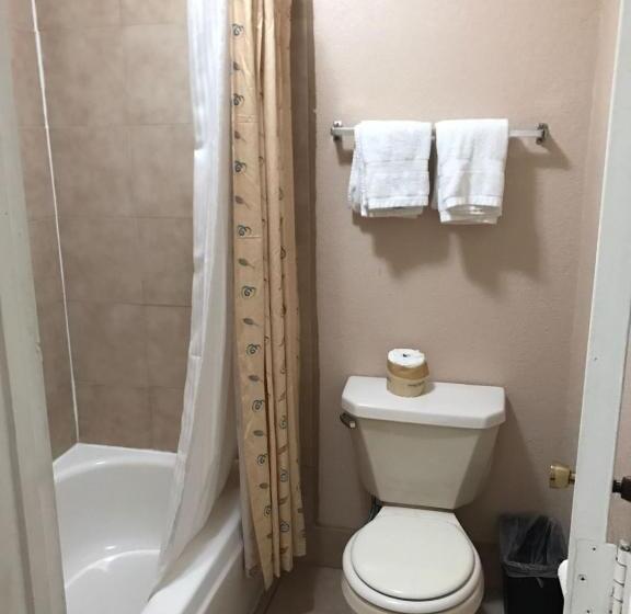 اتاق استاندارد با تخت بزرگ, American Inn Motel