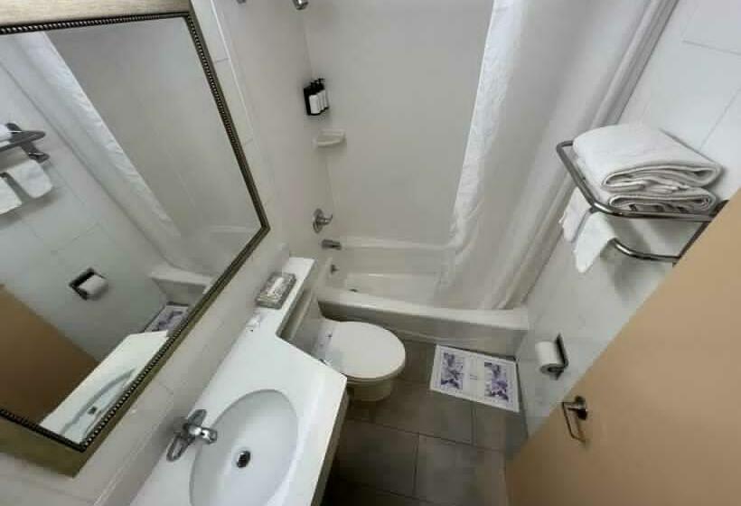 标准间, Atlantic Motor Inn