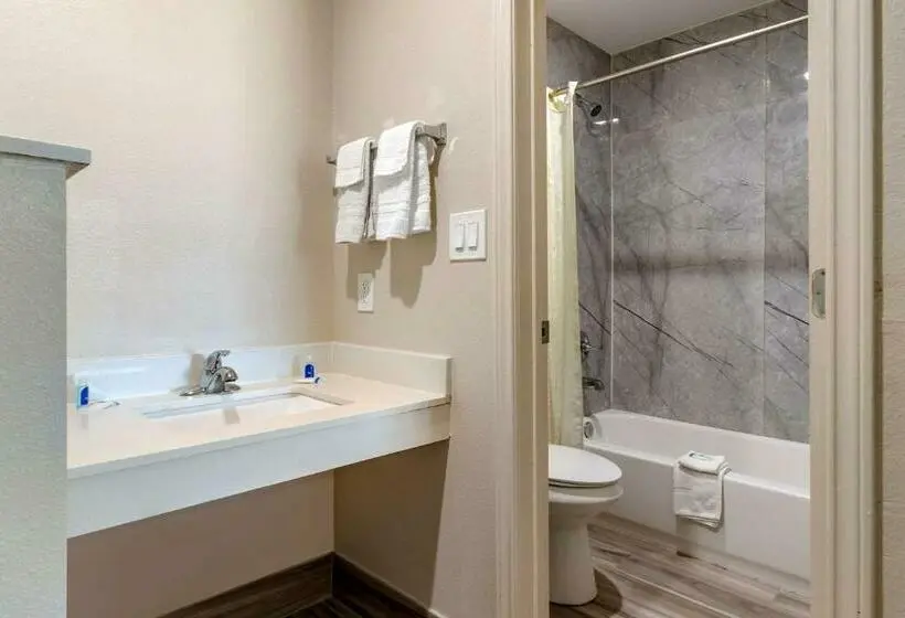 Standard-huone King-vuode, Rodeway Inn