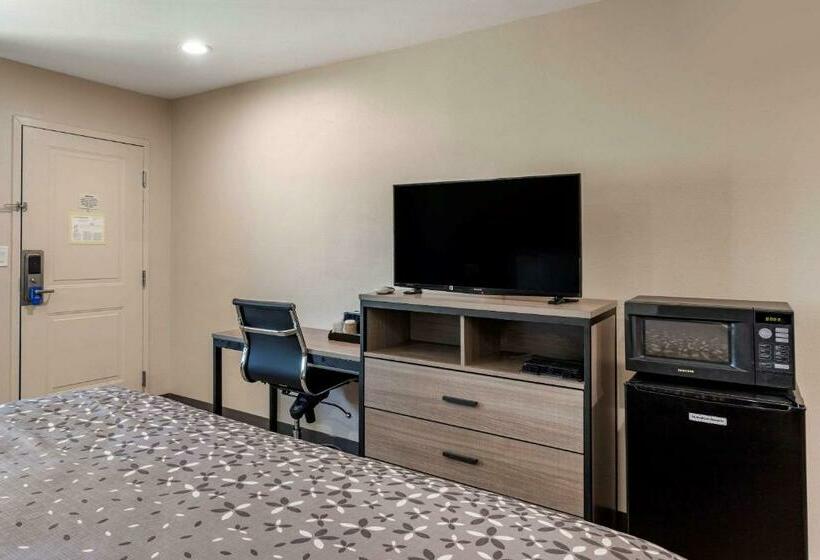 Стандартный Номер Кровать Кинг, Rodeway Inn