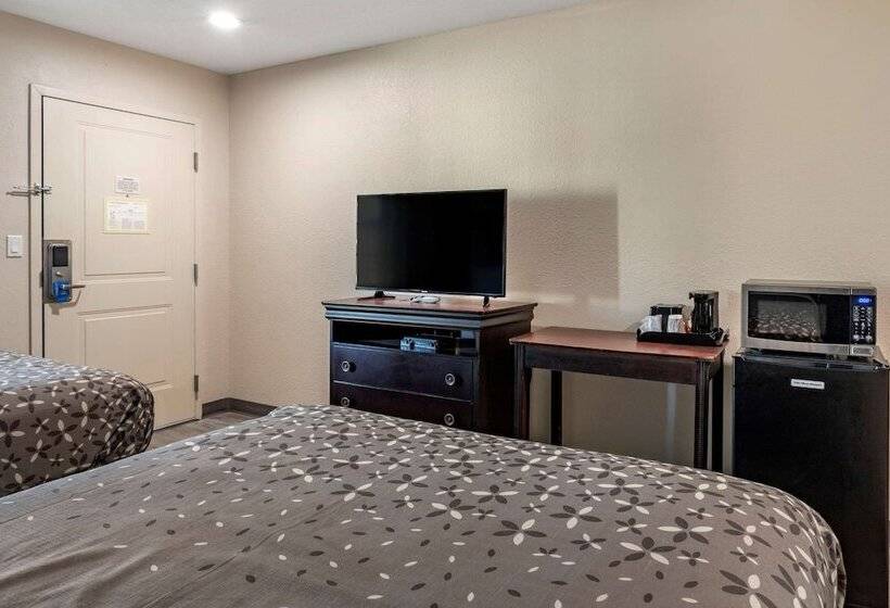 Номер Стандарт 2 Двуспальные Кровати, Rodeway Inn