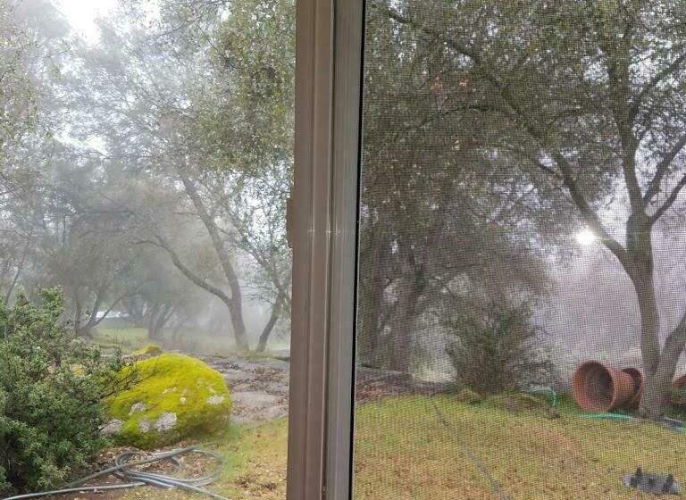 스탠다드 룸, Yosemite Nights B&b