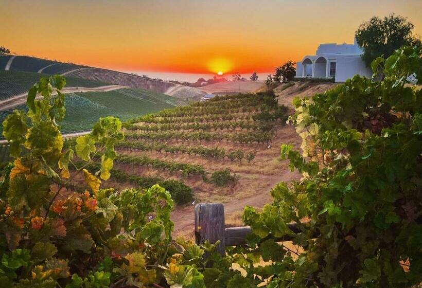 Superior Studio, Sirena Vineyard Resort