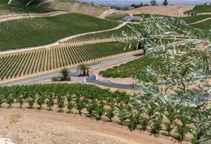 수피리어 스튜디오, Sirena Vineyard Resort