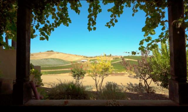 스탠다드 스튜디오 킹침대, Sirena Vineyard Resort