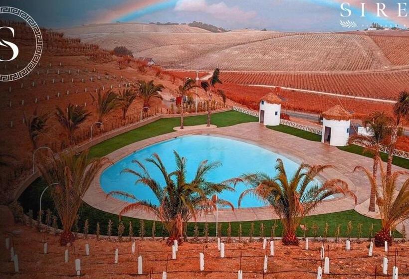 Standard Studio Views, Sirena Vineyard Resort