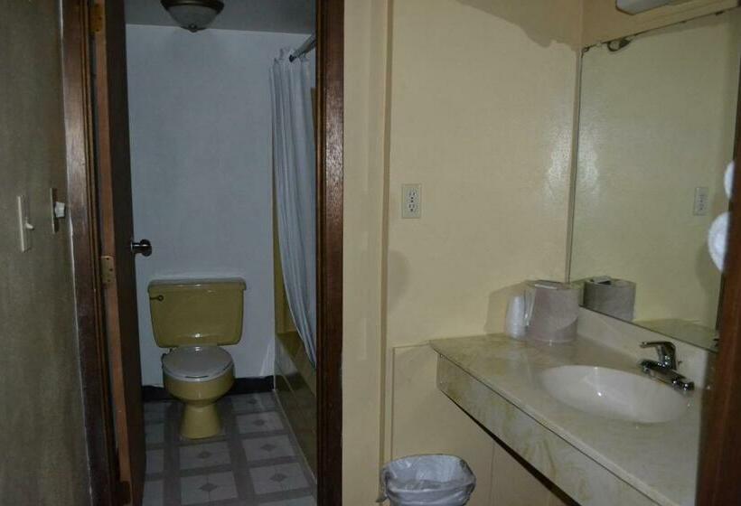 Номер Стандарт 2 Двуспальные Кровати, Budget Inn Motel