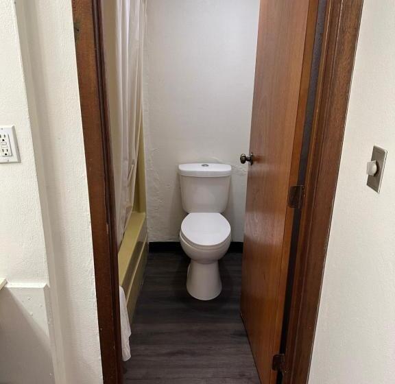 Номер Стандарт 2 Двуспальные Кровати, Budget Inn Motel
