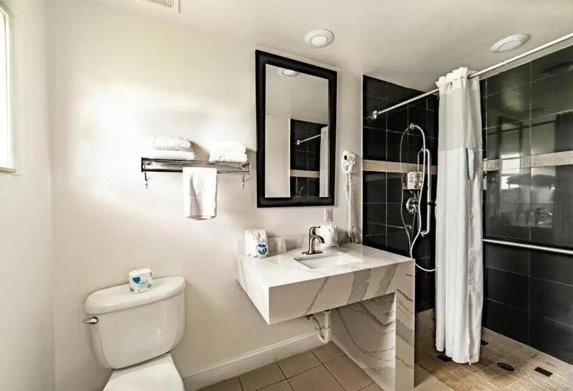 身障者適用キングサイズベッドルーム, Everglades City Motel   Everglades Adventures Inn