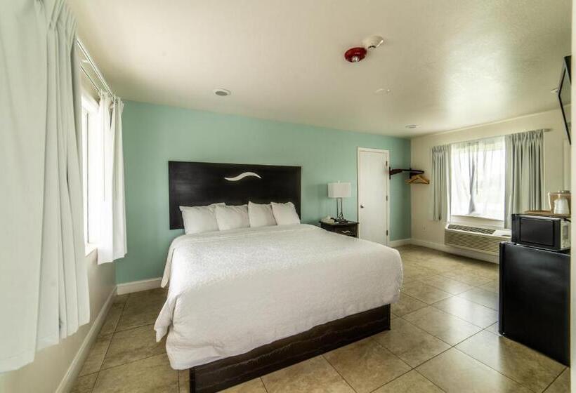 Номер Стандарт Кровать Кинг Адаптированный для Инвалидов, Everglades City Motel   Everglades Adventures Inn