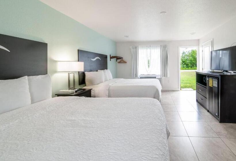 חדר דלוקס, Everglades City Motel   Everglades Adventures Inn