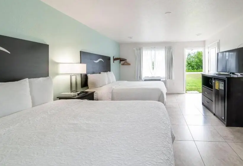 デラックスルーム, Everglades City Motel   Everglades Adventures Inn