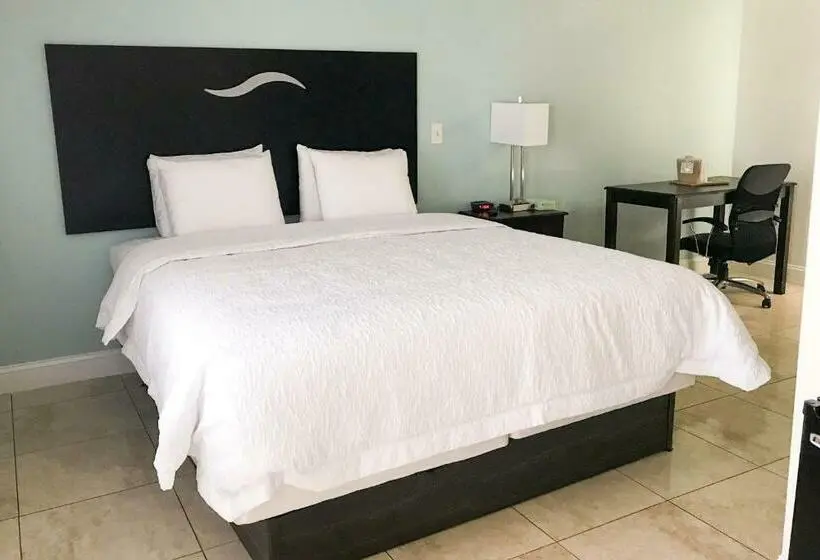 キングサイズベッドのスタンダードルーム, Everglades City Motel   Everglades Adventures Inn