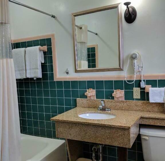 غرفة قياسية سرير كينج, Cheerio Inn   Glennville