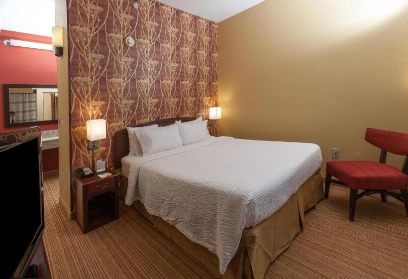 جناح سرير كينج, Courtyard Florence South Carolina