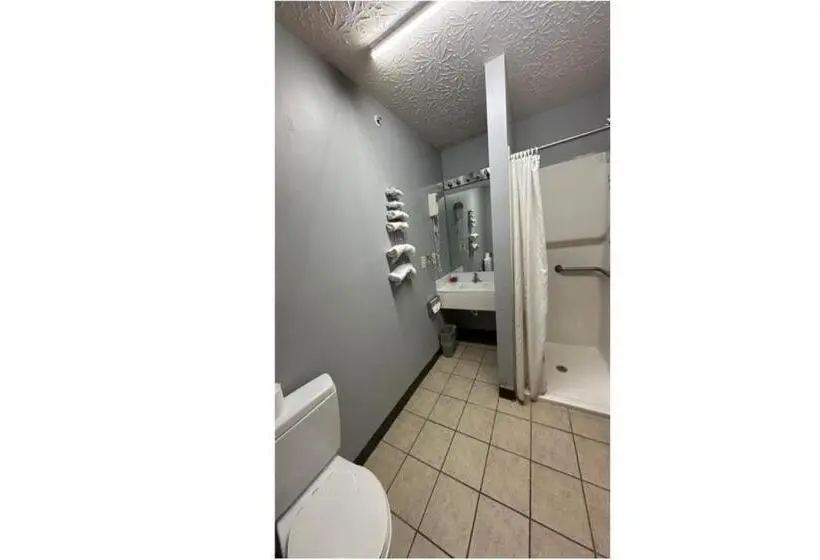 身障者適用キングサイズベッドルーム, Fairway Inn Florence Indiana