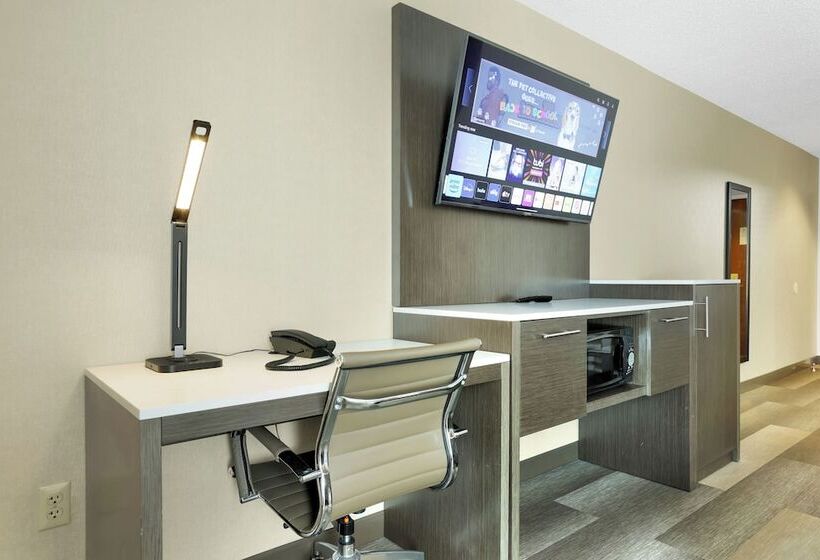 غرفه قياسيه سريرين مزدوجين, Horizon Inn