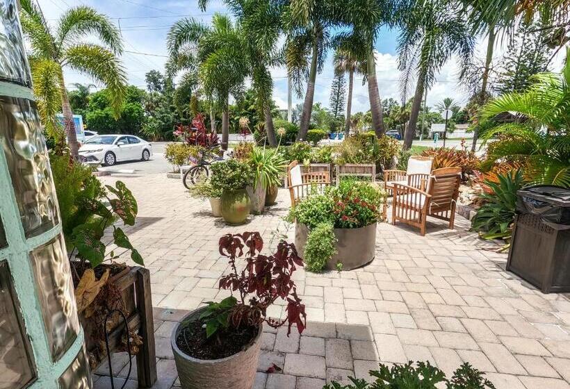 إستوديو قياسى سرير كينج, Haley S At The Anna Maria Island Inn