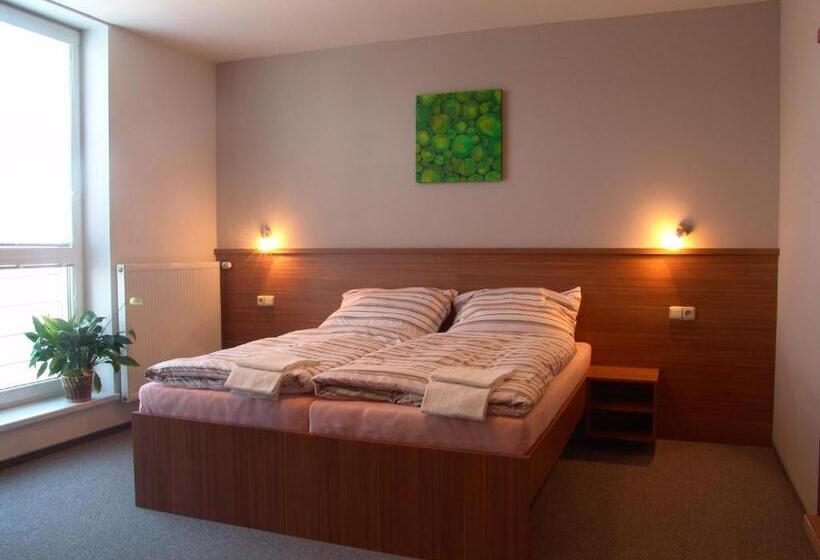 غرفة قياسية, Penzion Ruland