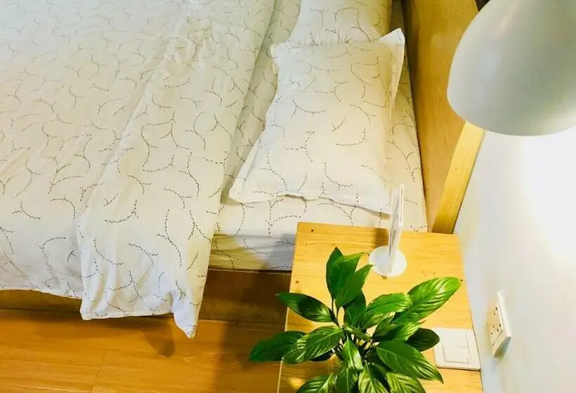 اتاق لوکس, Guilin Cyan Box Guest House